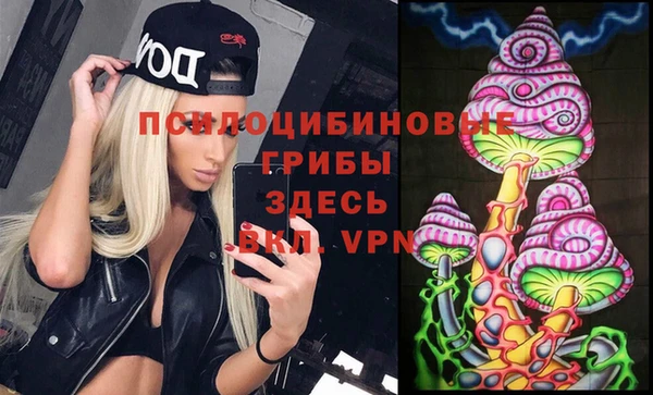 гашик Аркадак
